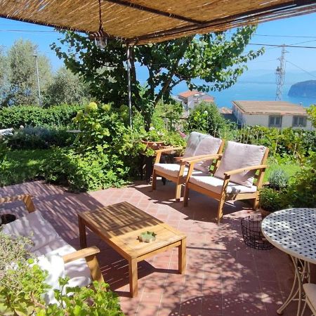 Lally'S Garden Bed and Breakfast Σορέντο Εξωτερικό φωτογραφία