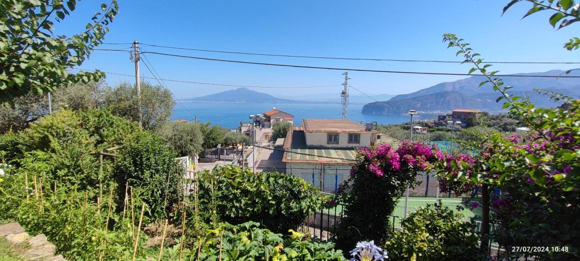 Lally'S Garden Bed and Breakfast Σορέντο Εξωτερικό φωτογραφία
