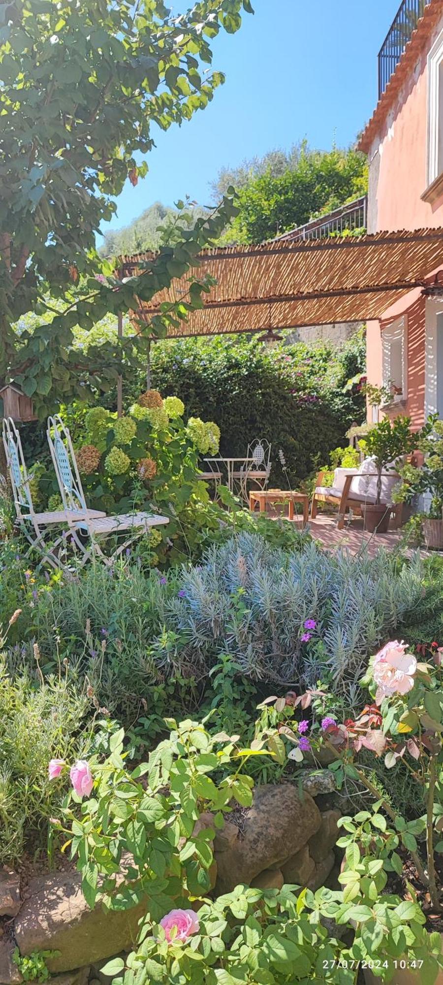 Lally'S Garden Bed and Breakfast Σορέντο Εξωτερικό φωτογραφία